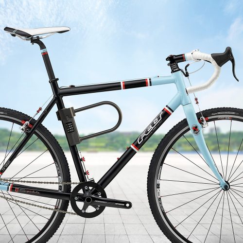 Basi-ZR 317-kerékpár U lakat számzárral