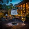 Hibás! Szolár asztali lámpa - átlátszó - hidegfehér LED - műanyag - 26 x 12 cm