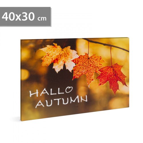 LED-es fali hangulatkép - "Hello ősz" -  2 x AA, 40 x 30 cm