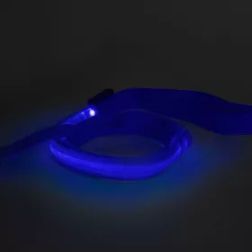 LED-es póráz - akkumulátoros - 120 x 2,5 cm - kék