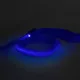 LED-es póráz - akkumulátoros - 120 x 2,5 cm - kék