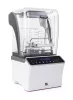 G21 Experience White blender