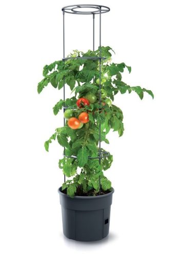 Prosperplast TOMATO GROWER kaspó paradicsom termesztésre 39,2 cm antracit
