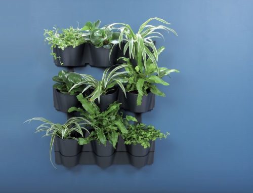 Prosperplast CASCADE WALL kaspó készlet a falra antracit