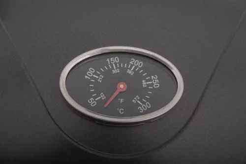 G21 Hawaii elektromos grill