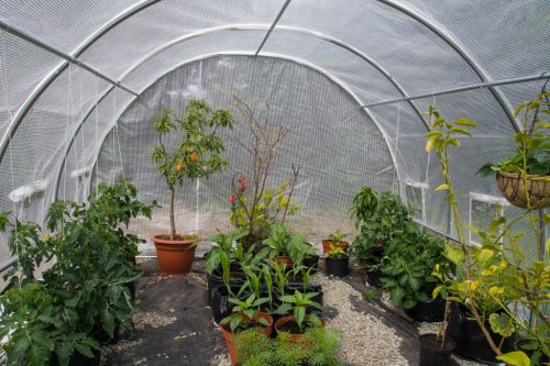 G21 200 x 400 x 200 cm, fóliasátor, fehér