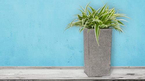 G21 Natur Tube virágcserép 30 x 60 x 30