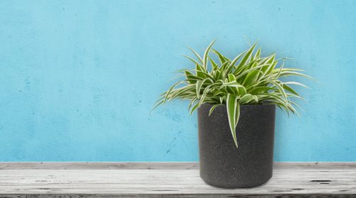 G21 Industrial Cork virágcserép 28 x 28 x 28