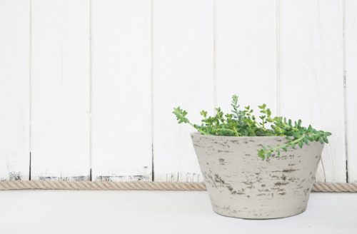 G21 Baltic Bowl virágcserép 47 x 27 x 47