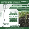 Növényfuttató horganyzott  150 cm
