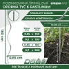 Növényfuttató horganyzott  180 cm