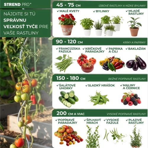 Növényfuttató horganyzott  180 cm