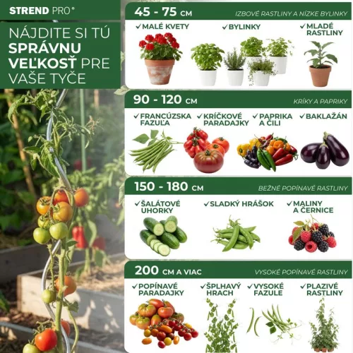 Rúd Garden KBT 0750/08-10 mm, 10 db, támasztó, bambusz