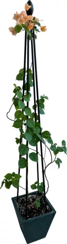 Növénytámasz Strend Pro, 4 lábú, 180 cm
