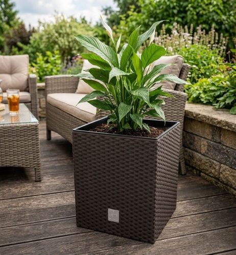 Virágcserép RATO low 400, barna, betét