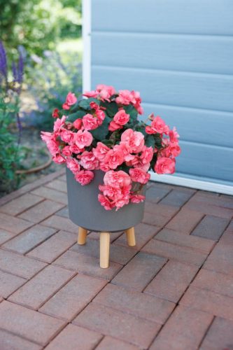 Virágcserép Strend pro, kávépor színű, 20x20x26 cm