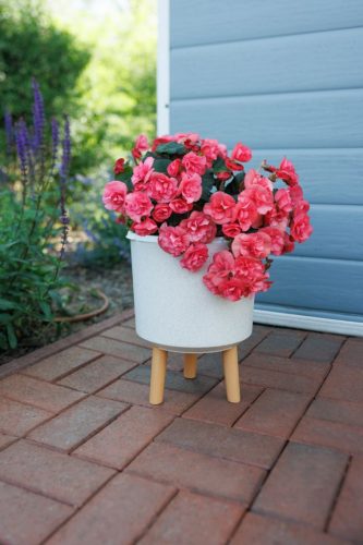 Virágcserép Strend pro, White Weath Finish színű, 24,5x24,5x31 cm