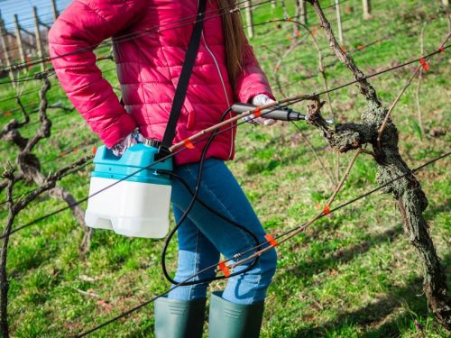 Permetező Evika JC50, 5 l, 3,7 V, Lithium battery, akkumulátoros