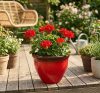 Kvetináč Strend Pro, máz, piros, 38 x 28,5 cm