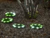 Lámpa Strend Pro 6155, Gyepburkoló lapok 4 db, 24 cm, műfűből készült napelemes körök, 4x 8 LED, AA