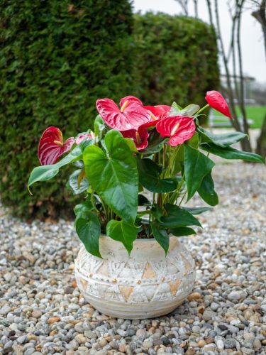 MagicHome dekoráció, Virágcserép mozaikkal, világosbarna, kerámia, 36 x 36 x 23 cm