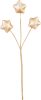 Virág MagicHome Karácsony, arany, 8.5 cm