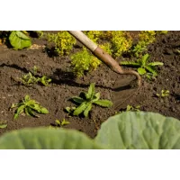 Kapák, Horolók, talajlazítók